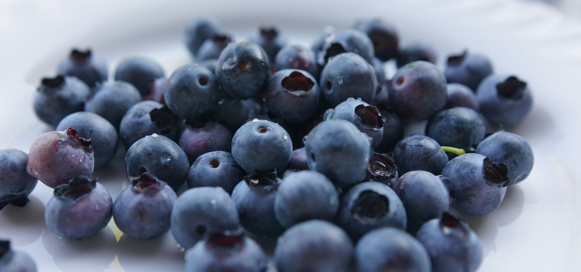 slider image 1621243260e1af0c20-1